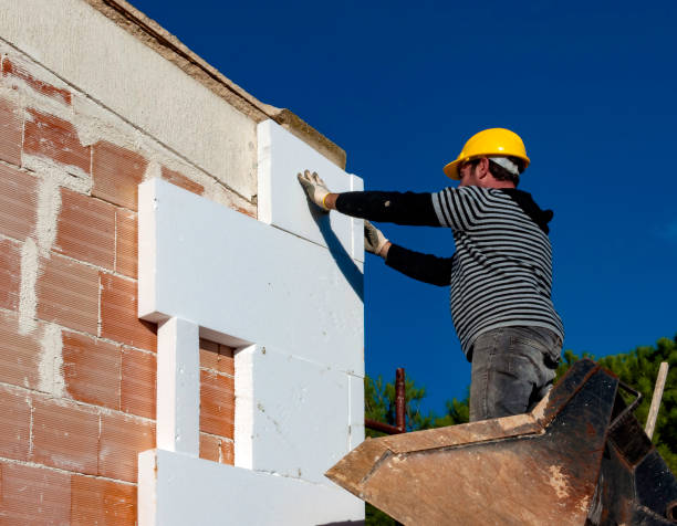 Best Types of Insulation in Goldthwaite, TX
